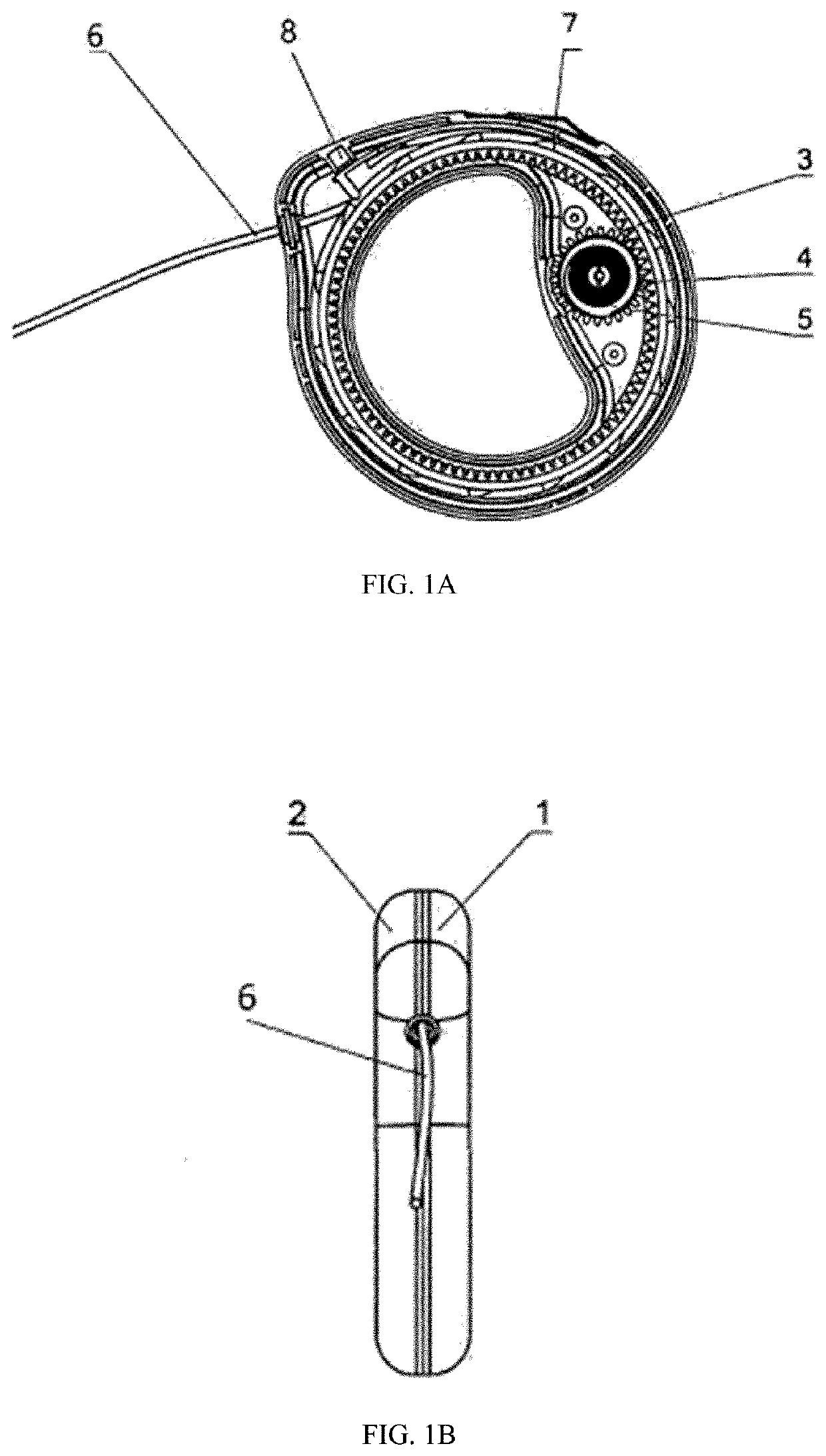 An automatically regulated leash for domestic animals