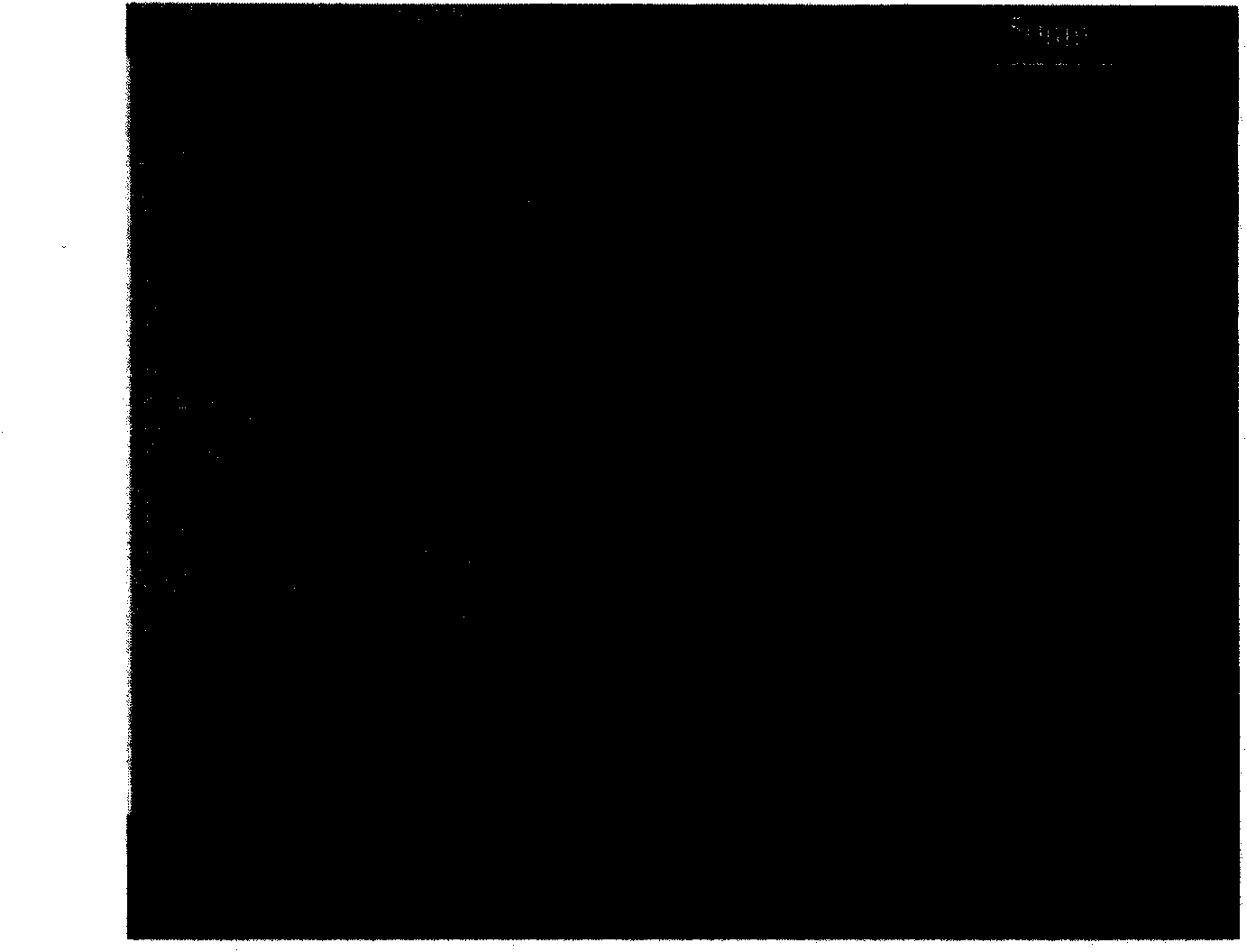 Method for preparing anatase-shaped nano TiO2