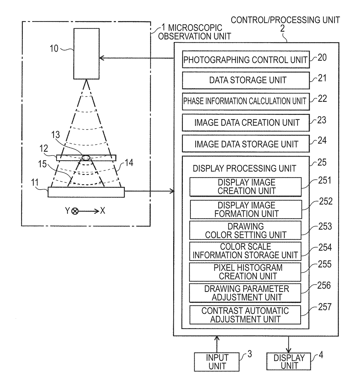 Cell observation apparatus