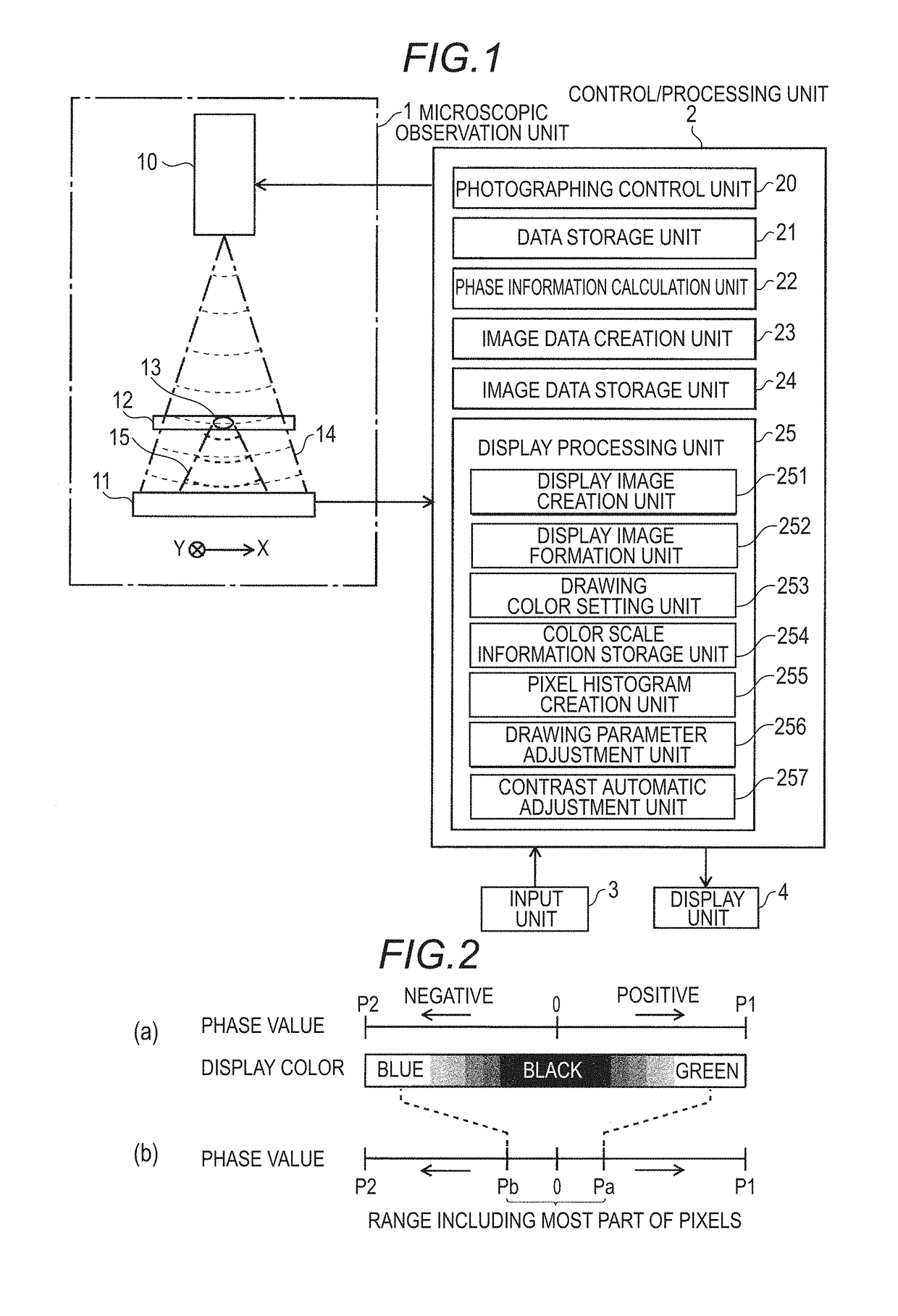 Cell observation apparatus