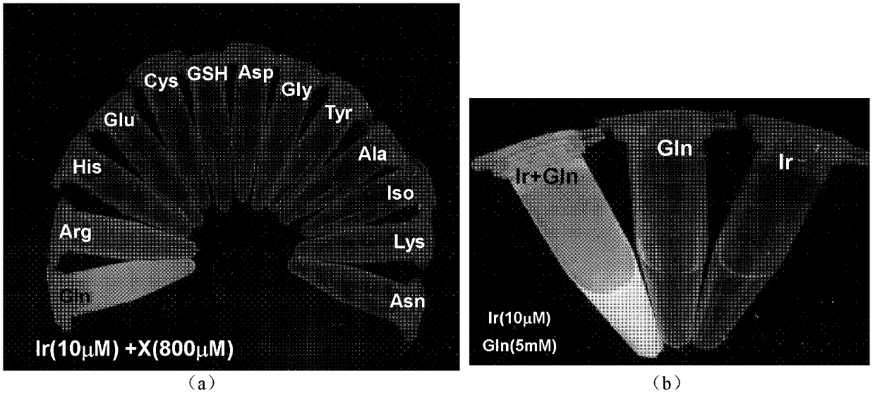 Phosphorescent iridium complex, and preparation method and application thereof