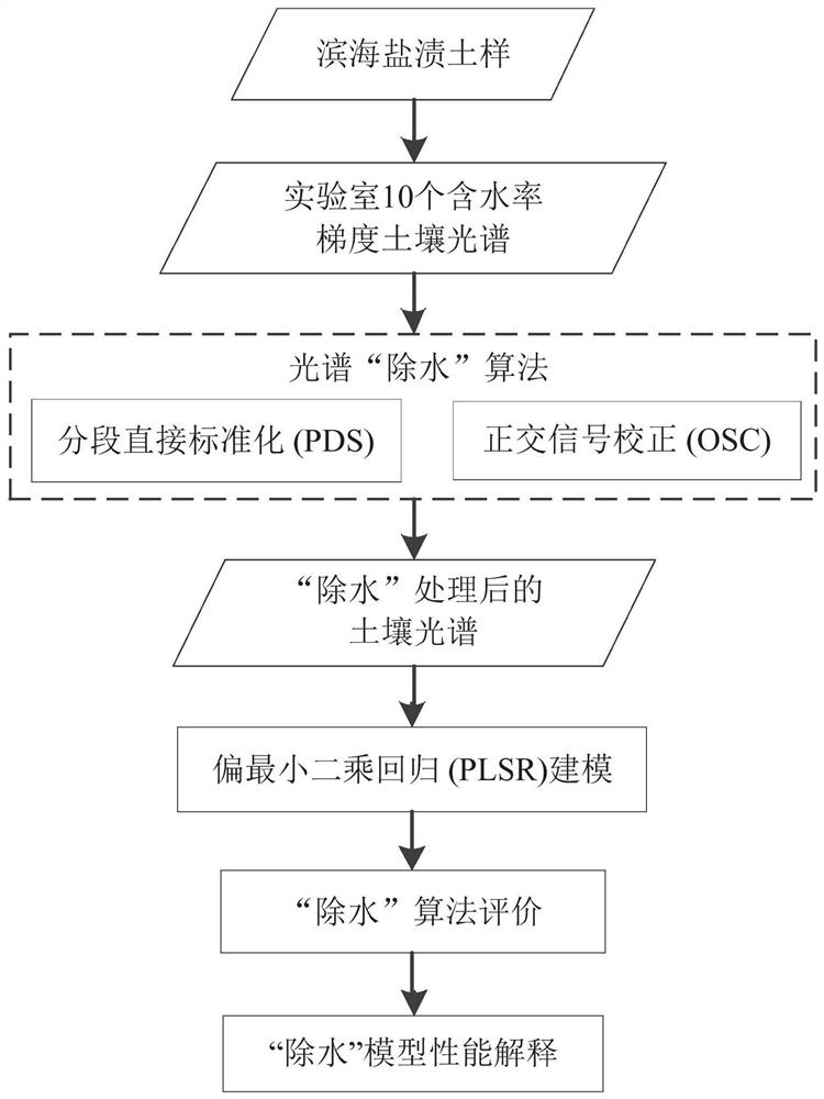 Coastal soil salinity assessment method and system