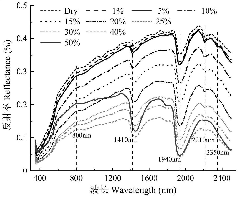 Coastal soil salinity assessment method and system