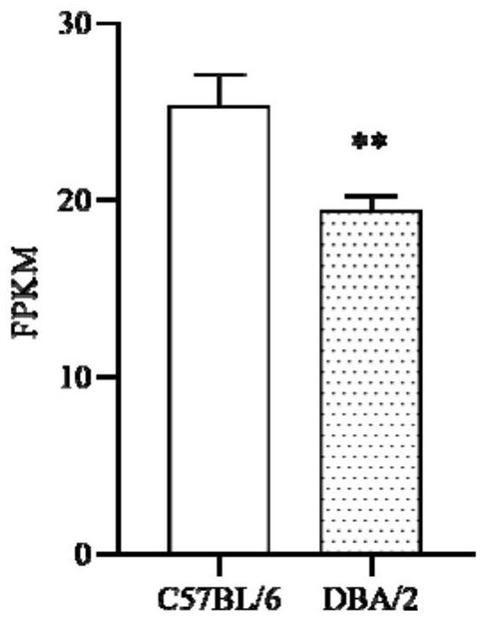 Method for training and improving space learning ability of mice