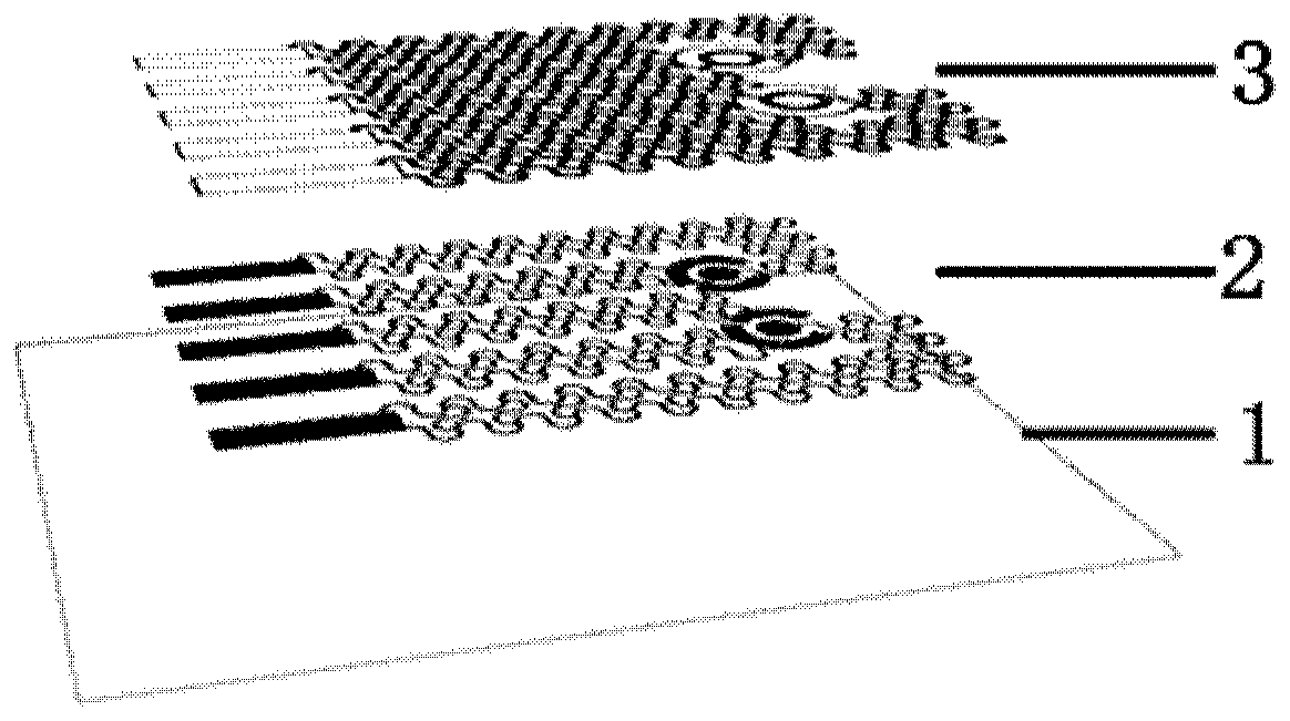 Sweat monitoring sensing system, patch and preparation method thereof