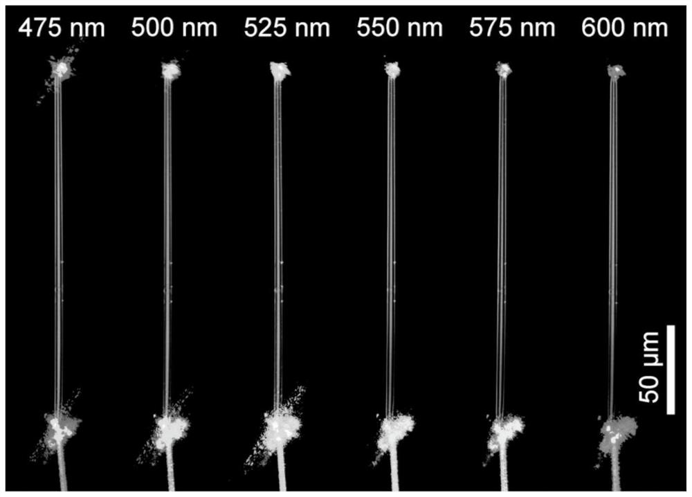 An ice micro-nano fiber for broad-spectrum low-loss optical waveguide