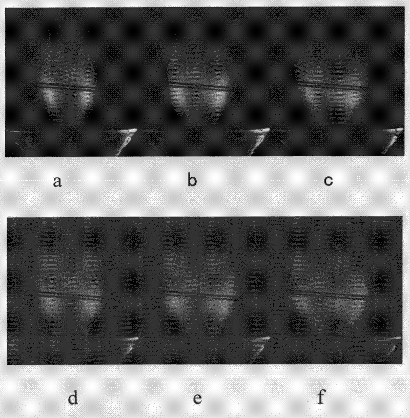 Dielectric barrier discharge plasma swirling device