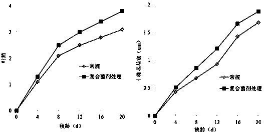 Method for functional barrier factors preventing damping-off in process of soilless rice seedling cultivation