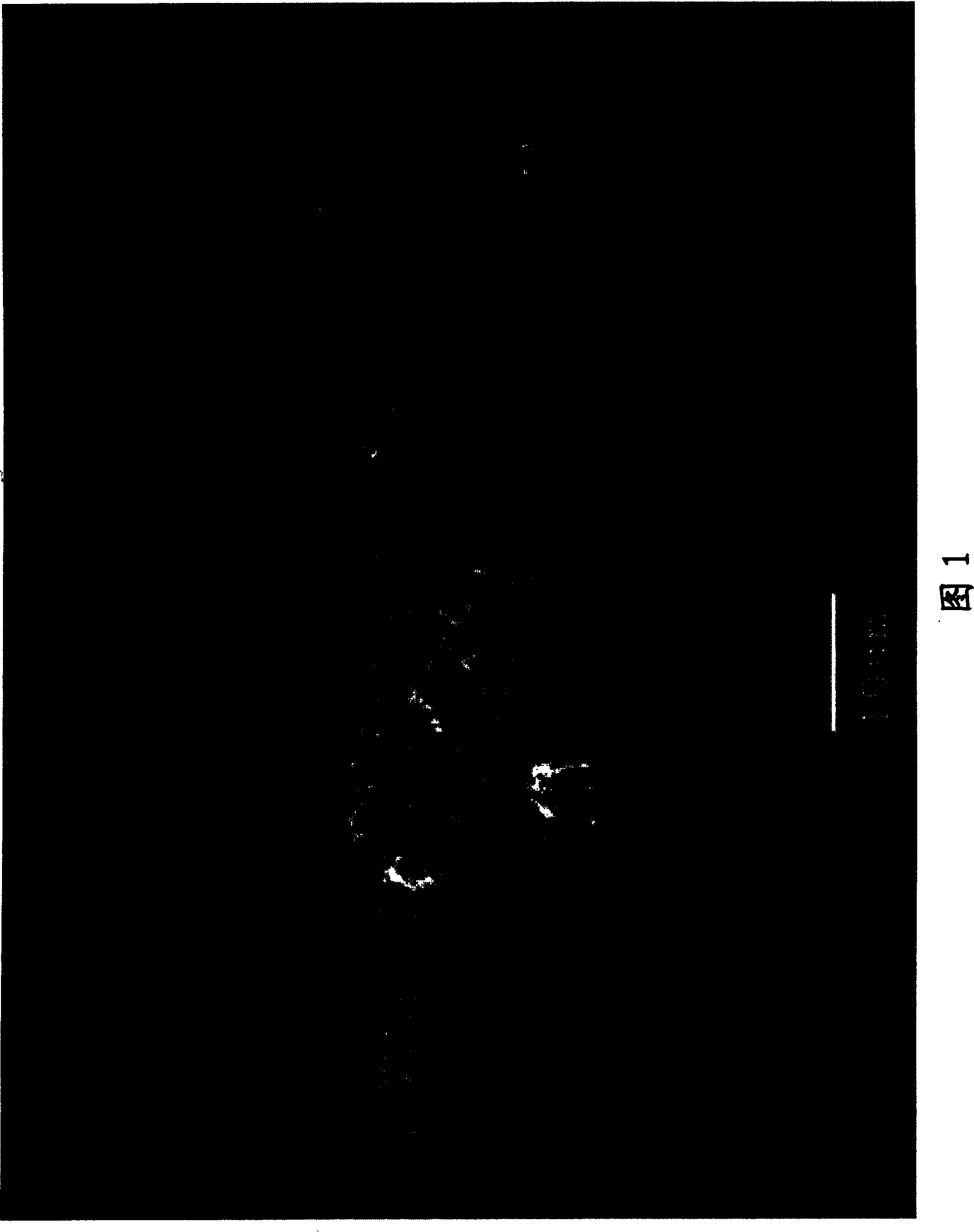 Gas diffusion electrode, membrane-electrolyte assembly, polymer electrolyte fuel cell, and methods for producing these