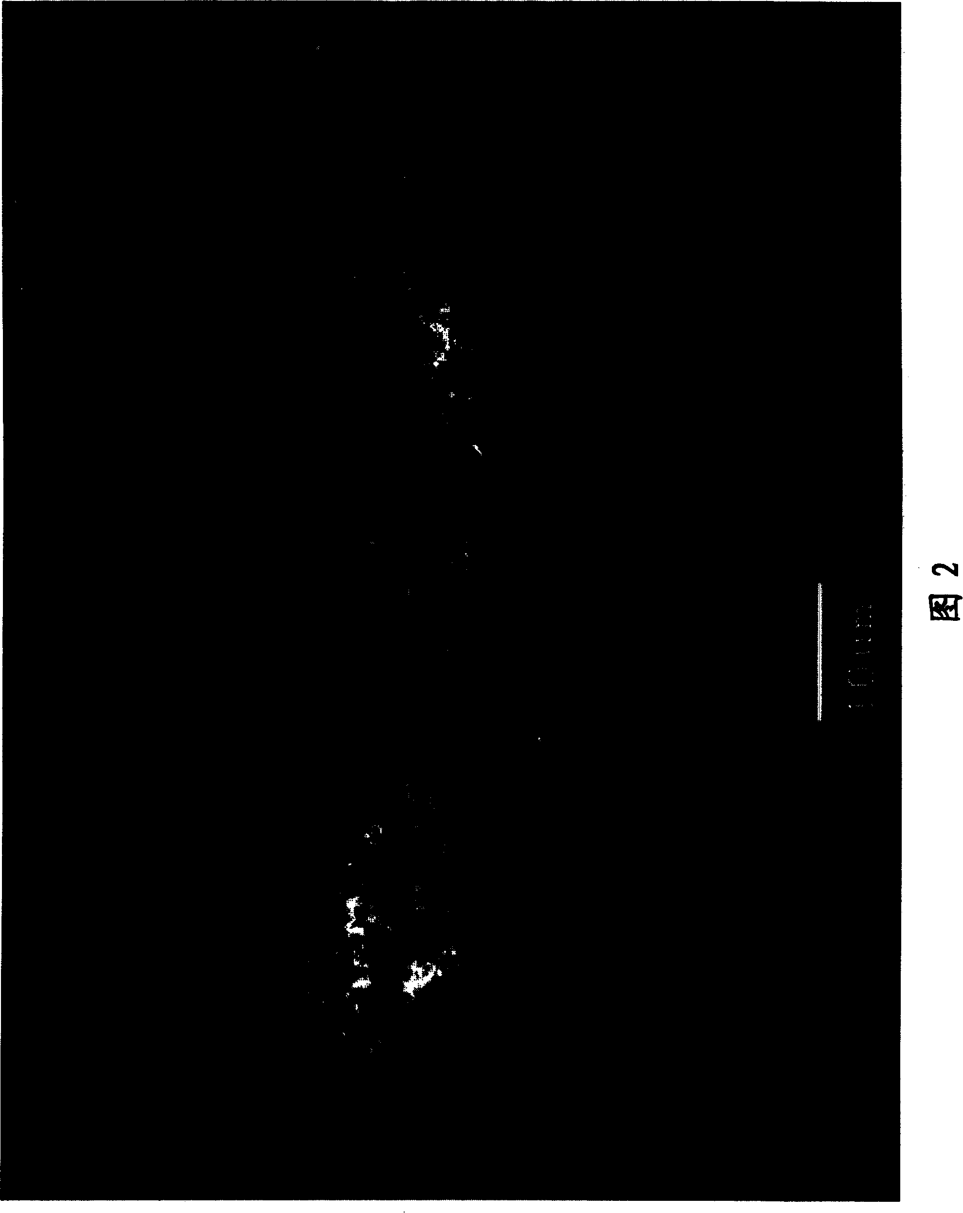 Gas diffusion electrode, membrane-electrolyte assembly, polymer electrolyte fuel cell, and methods for producing these