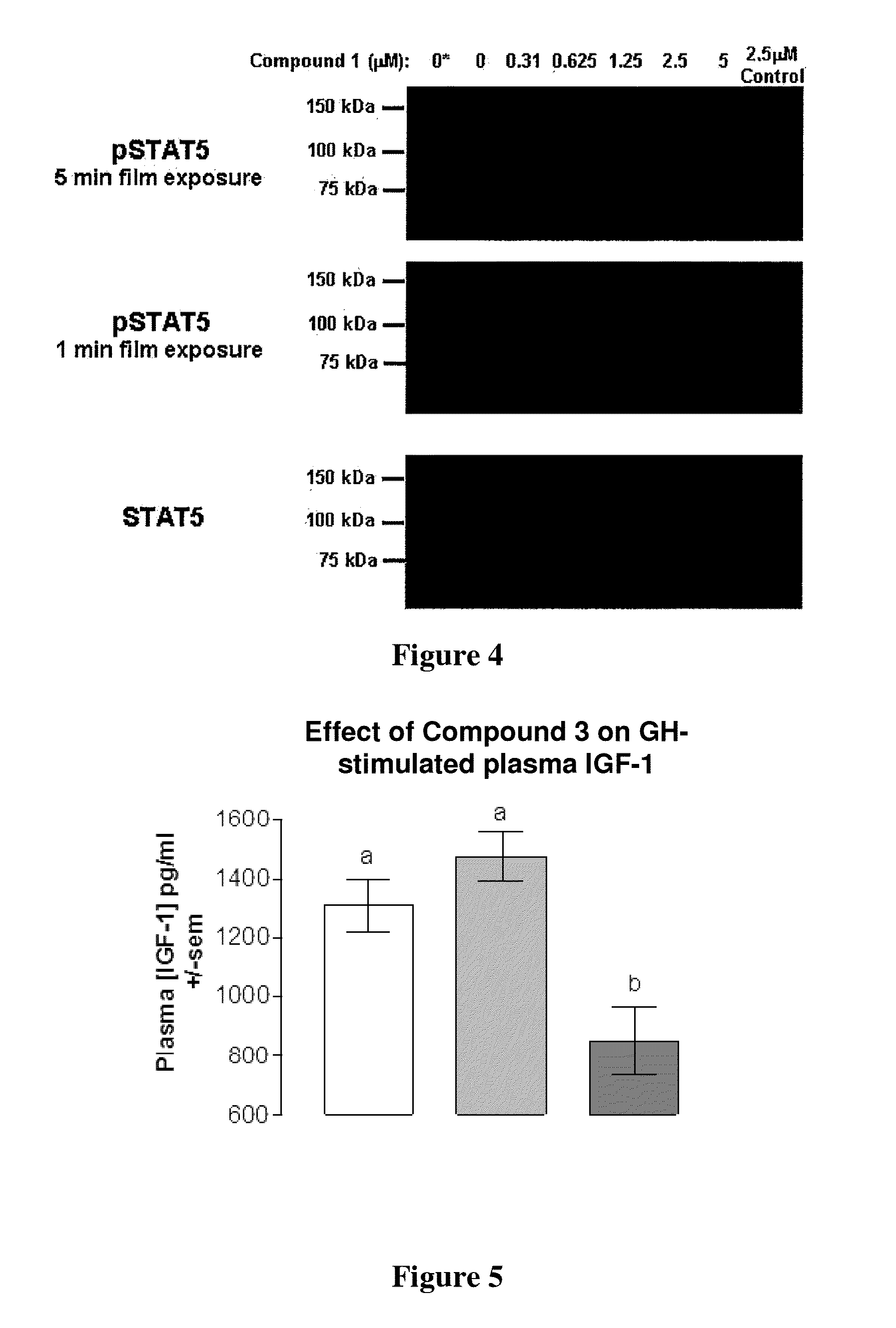 Phenyl amino pyrimidine compounds and uses thereof