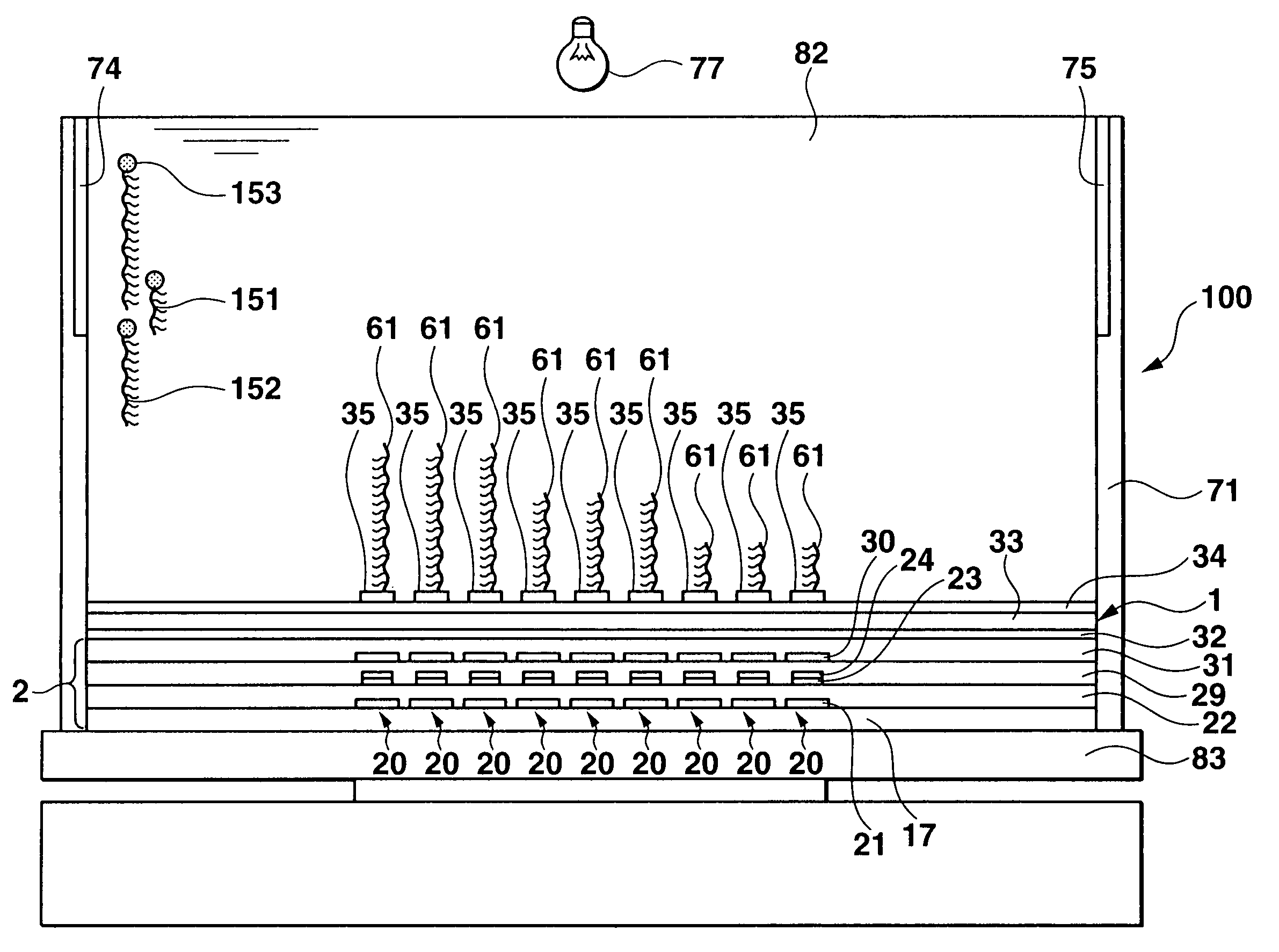 DNA analyzing apparatus, DNA sensor, and analyzing method