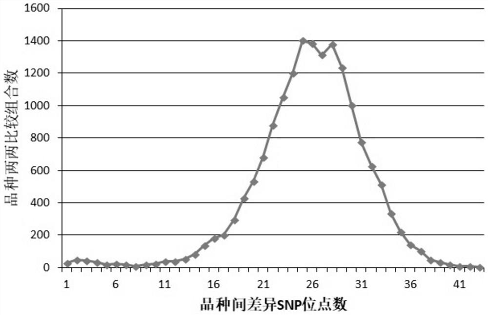 Method for identifying authenticity of cucurbita pepo variety