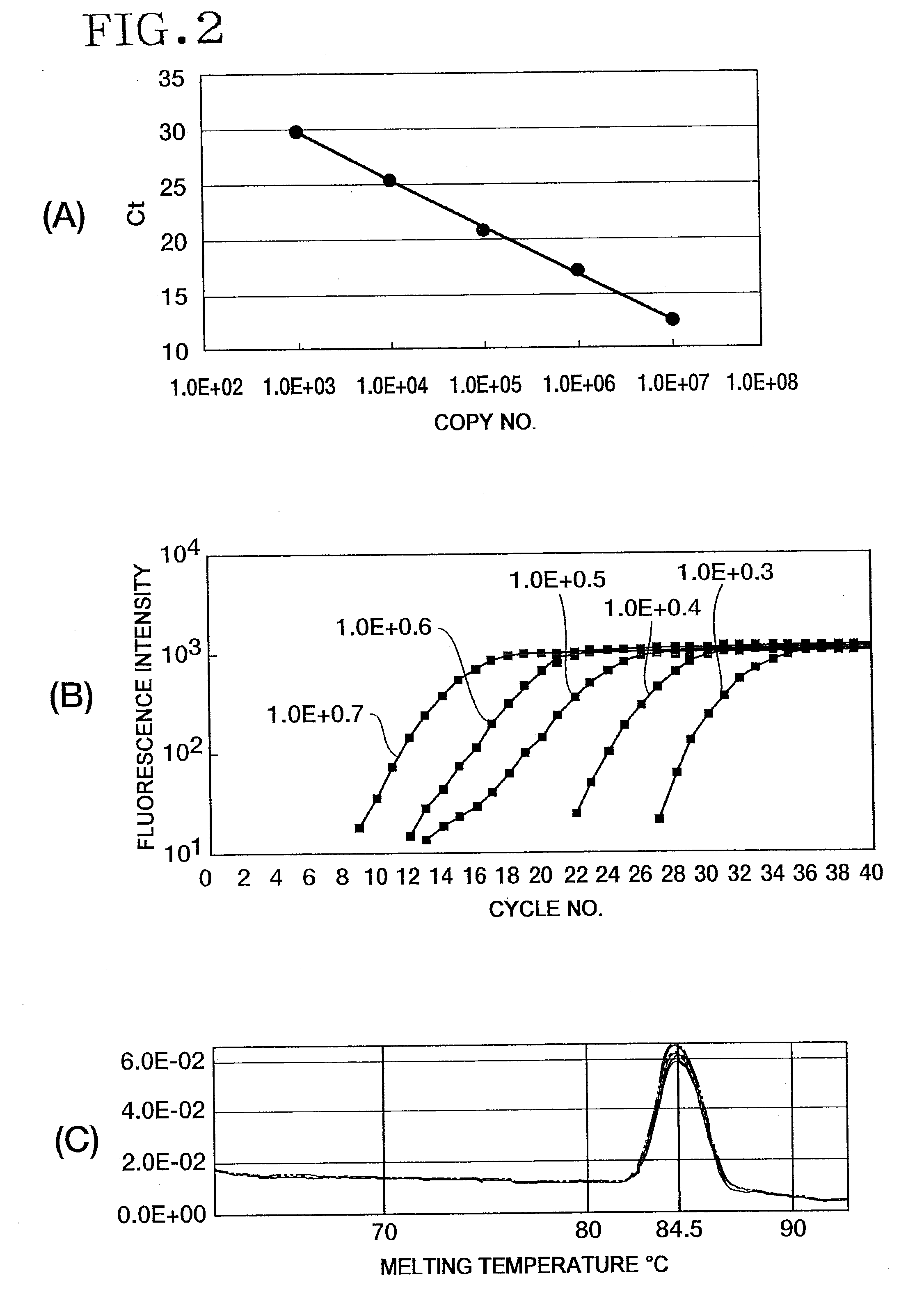 Method of detecting or quantitating endogenous wheat DNA and method of determining contamination rate of genetically modified wheat in test sample