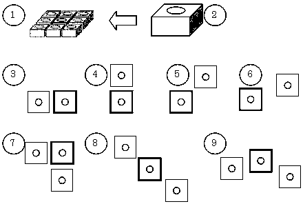 Camera resolution conversion device