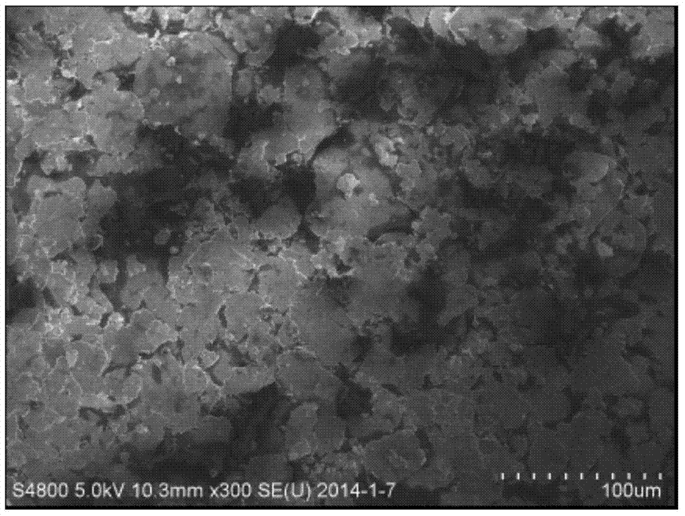 Wave-absorbing material and preparation method thereof