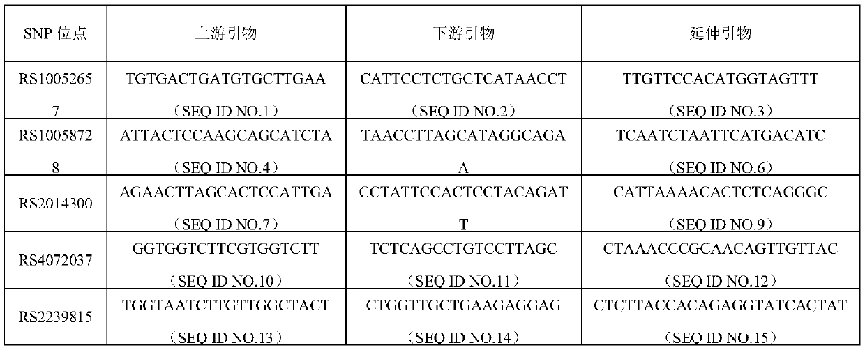 SNP marker associated with auxiliary diagnosis of esophageal cancer