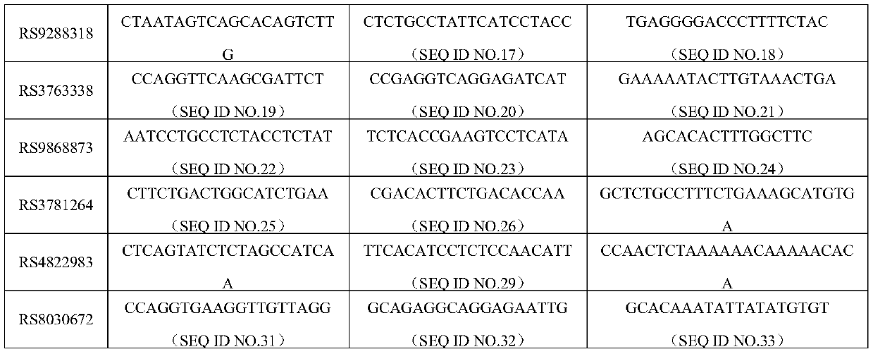 SNP marker associated with auxiliary diagnosis of esophageal cancer