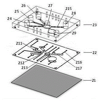 Microscale serum insulin content detection device