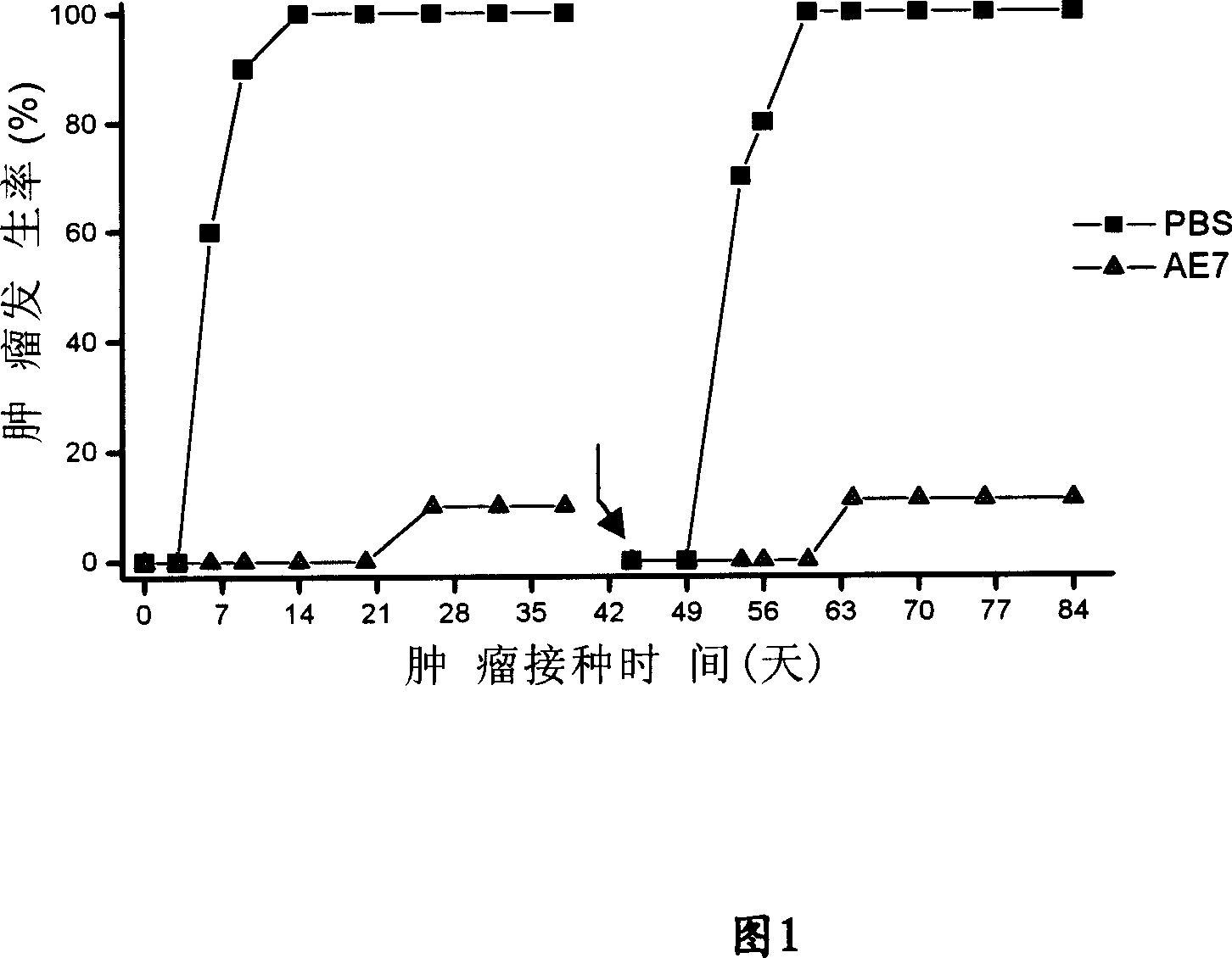 Fusion albumen containing HSP70 ATPase structure field and antigen peptide and application thereof