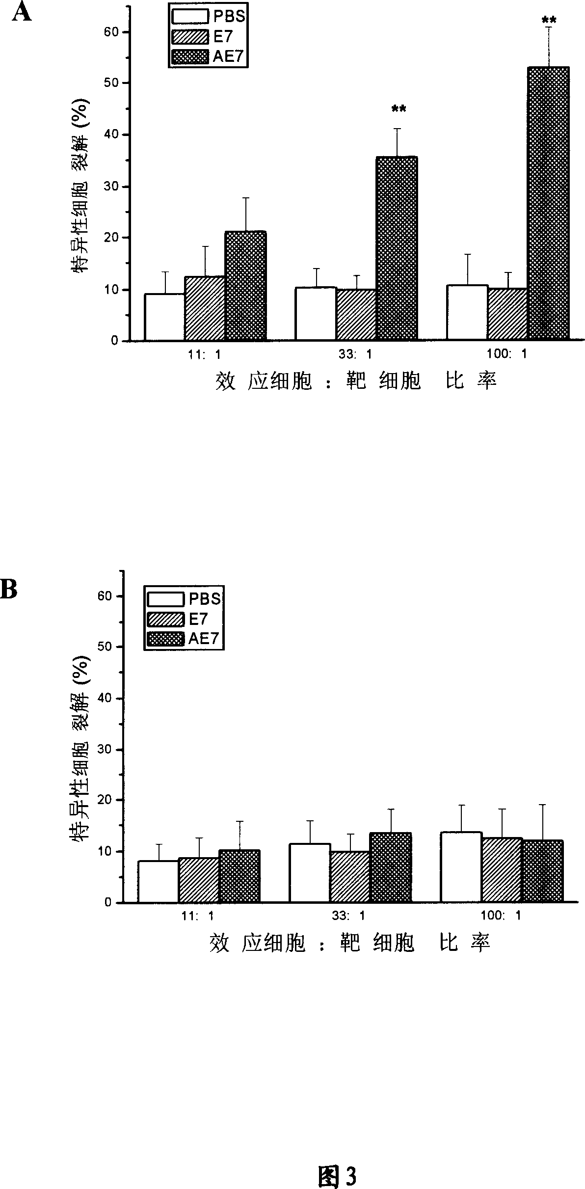 Fusion albumen containing HSP70 ATPase structure field and antigen peptide and application thereof