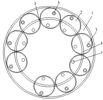 Culture system for Andrias davidianus