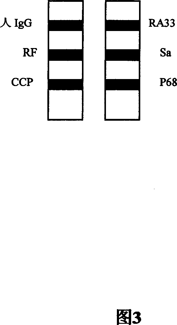 Concatenate antigen membrane detecting kit and its preparing method