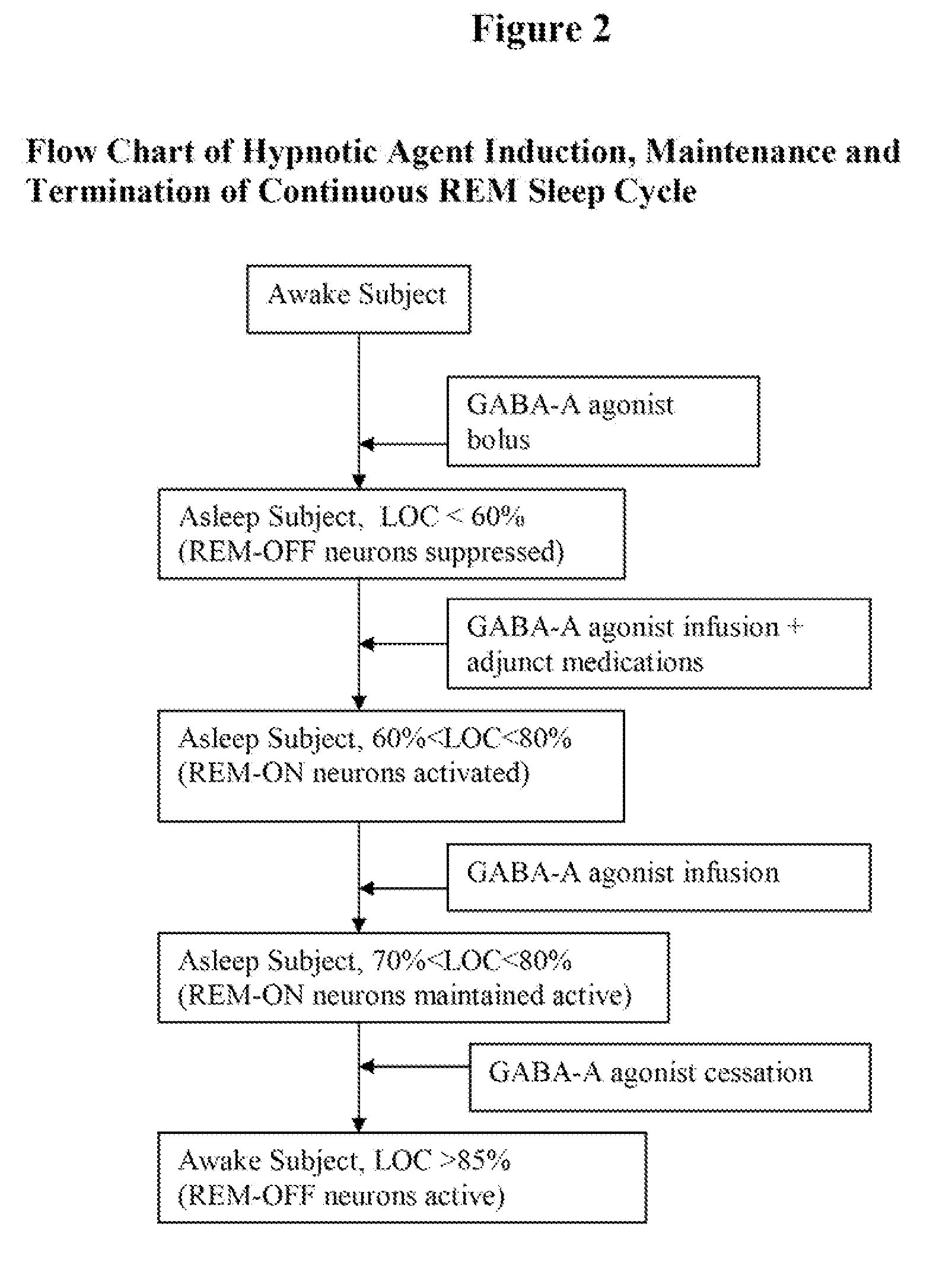 Compositions, methods, and systems for rapid induction and maintenance of continuous rem sleep