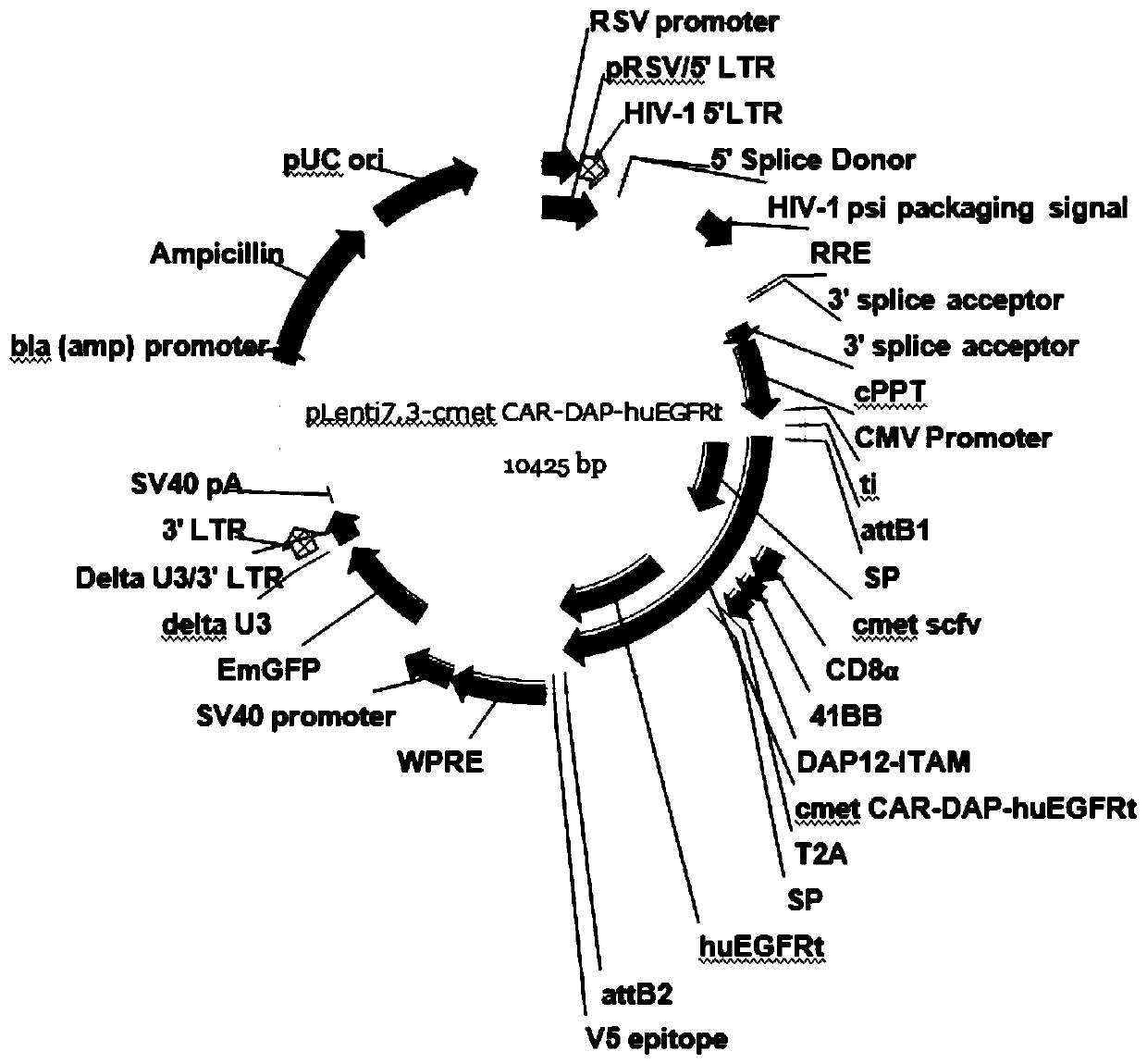 Chimeric antigen receptor with safety switch and its expression gene, its modified NK cell and application