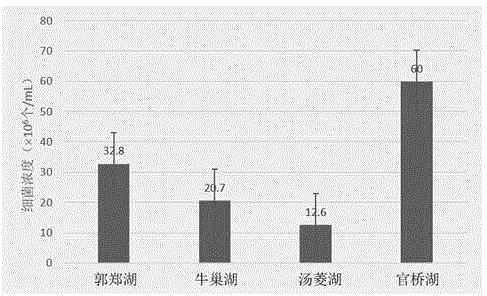 Fluorescent microscopic counting method for detecting number of bacteria in water body