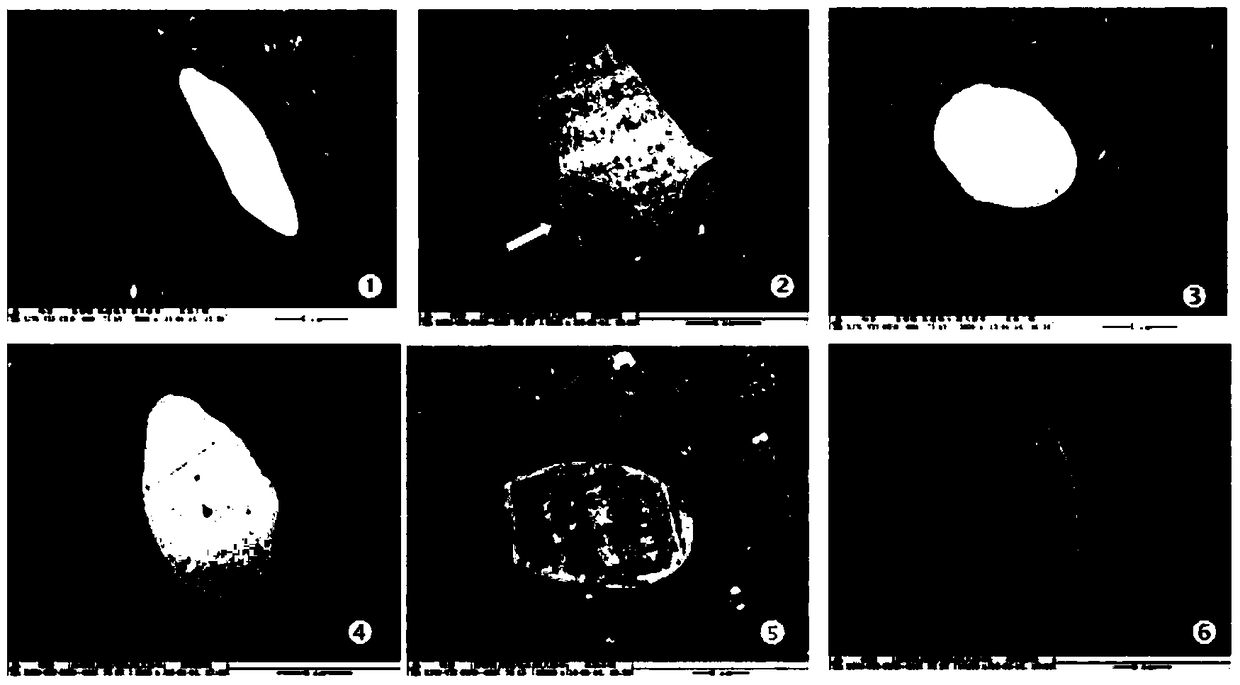 A kind of pharmaceutical composition for treating diabetic encephalopathy and its preparation method and application