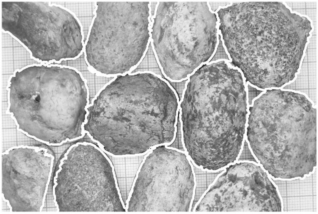 Multi-focus image edge detection method based on space relative altitude information