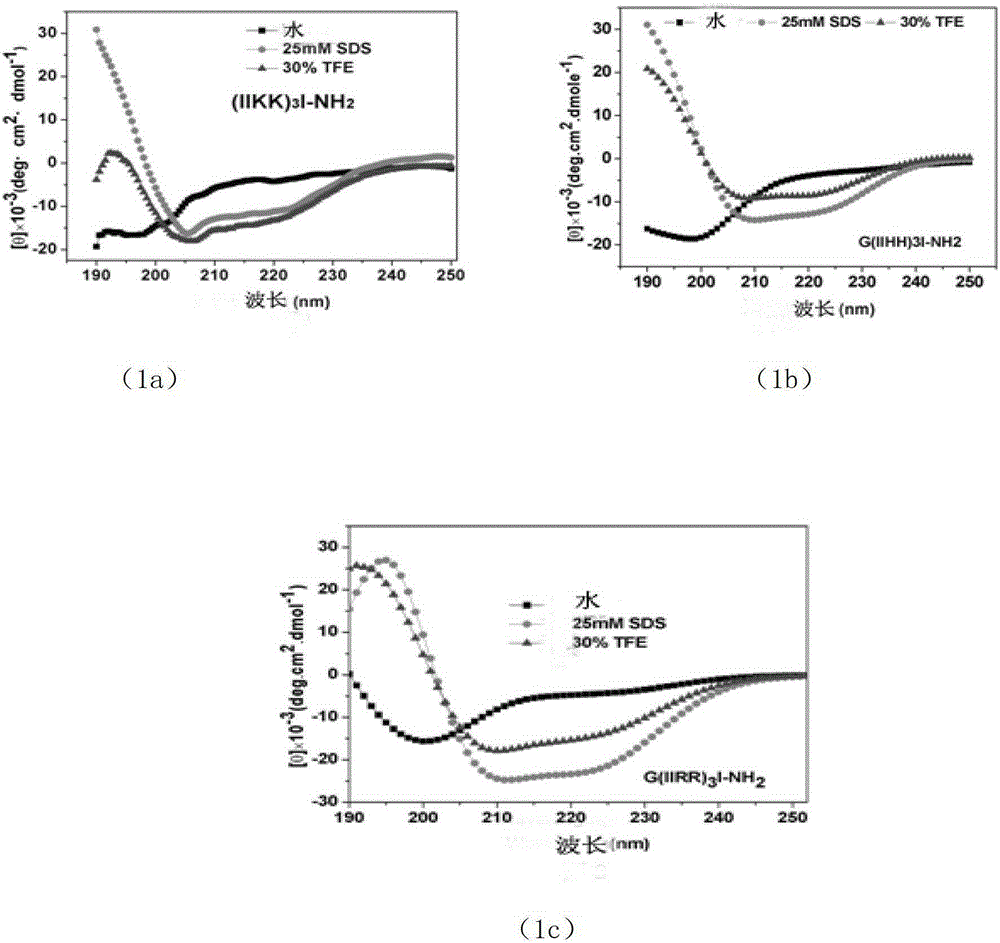 A new type of antimicrobial peptide