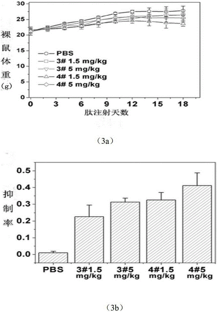 A new type of antimicrobial peptide