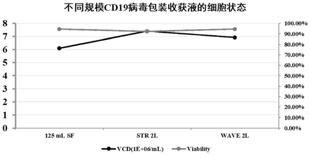 Suspension cell-based CAR-CD19 lentivirus preparation process