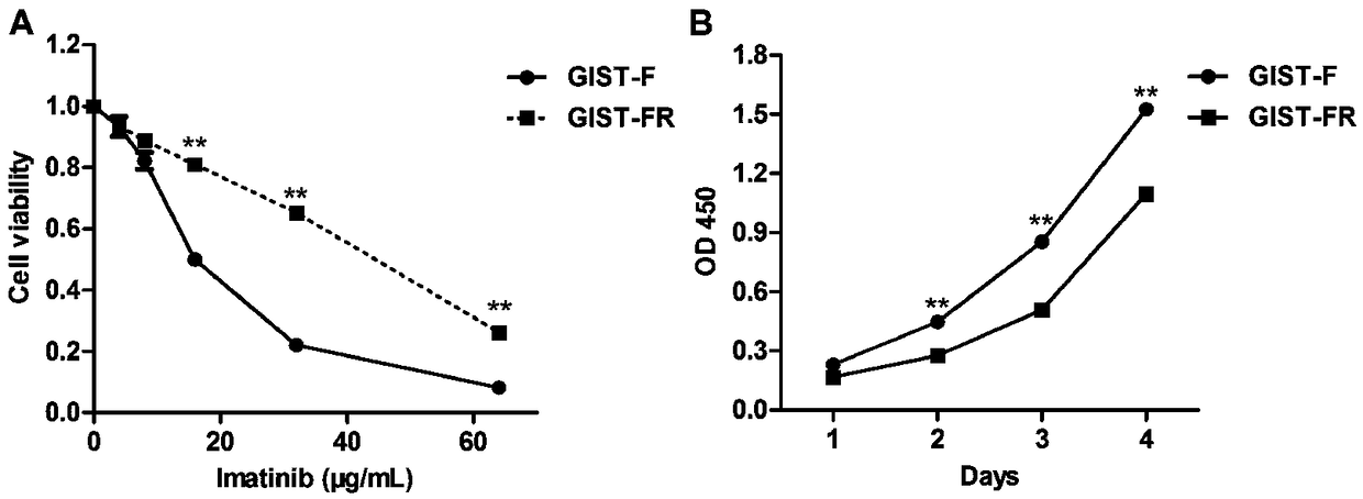 Imatinib-drug-resistance KIT and PDGFRA wild type GIST cell strain and establishment method and application thereof