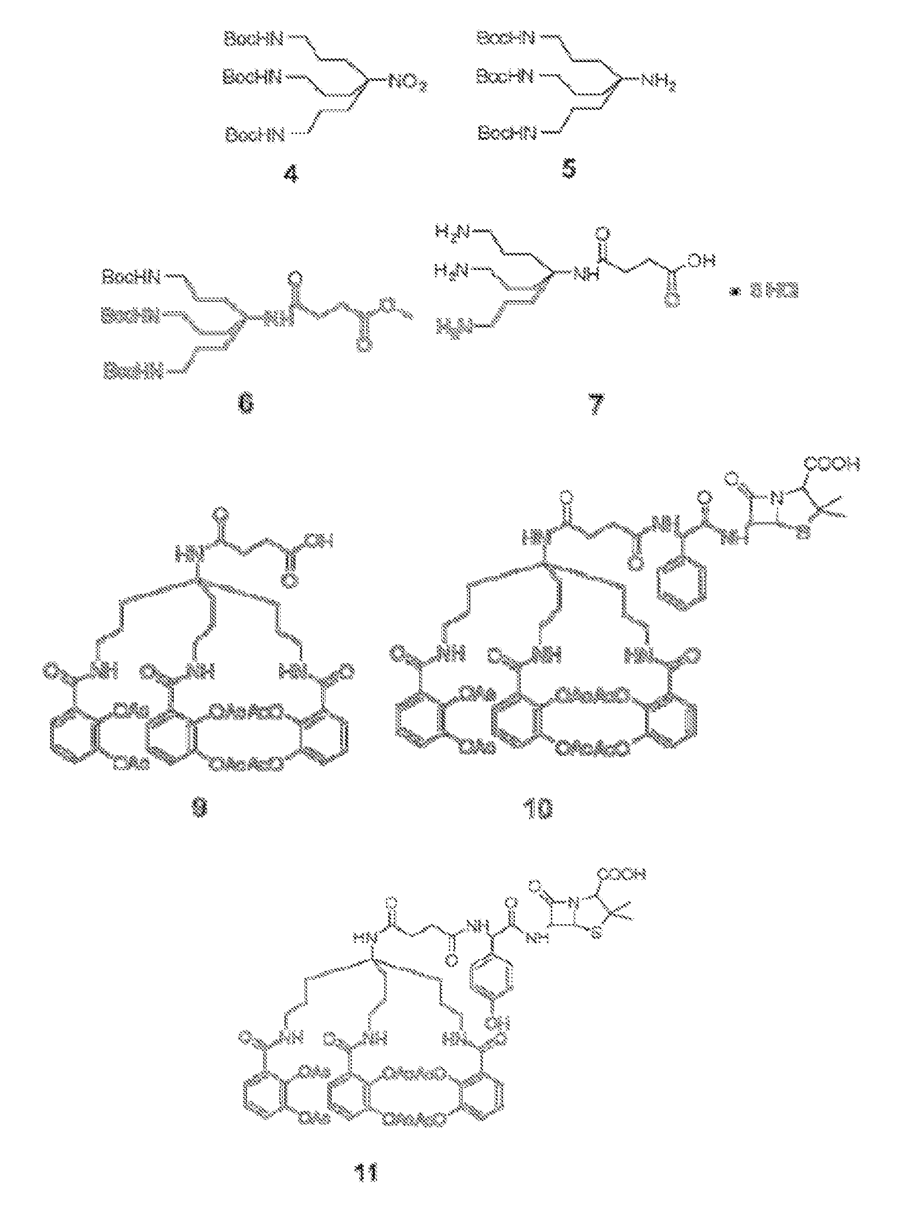 Anti-bacterial siderophore-aminopenicillin conjugates