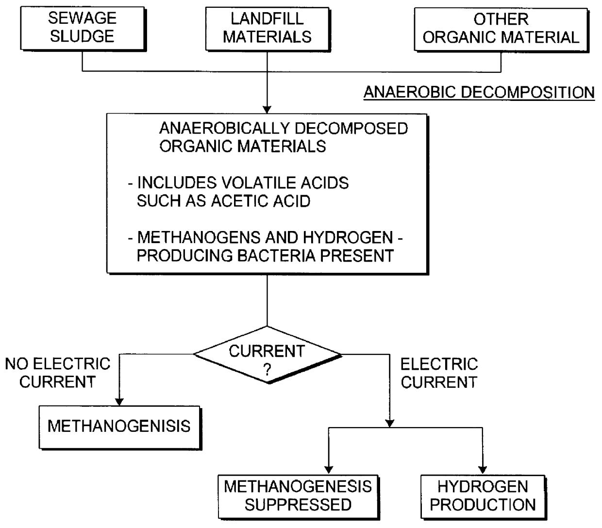 Process for production of hydrogen from anaerobically decomposed organic materials