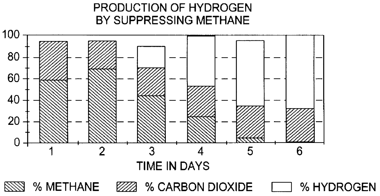 Process for production of hydrogen from anaerobically decomposed organic materials