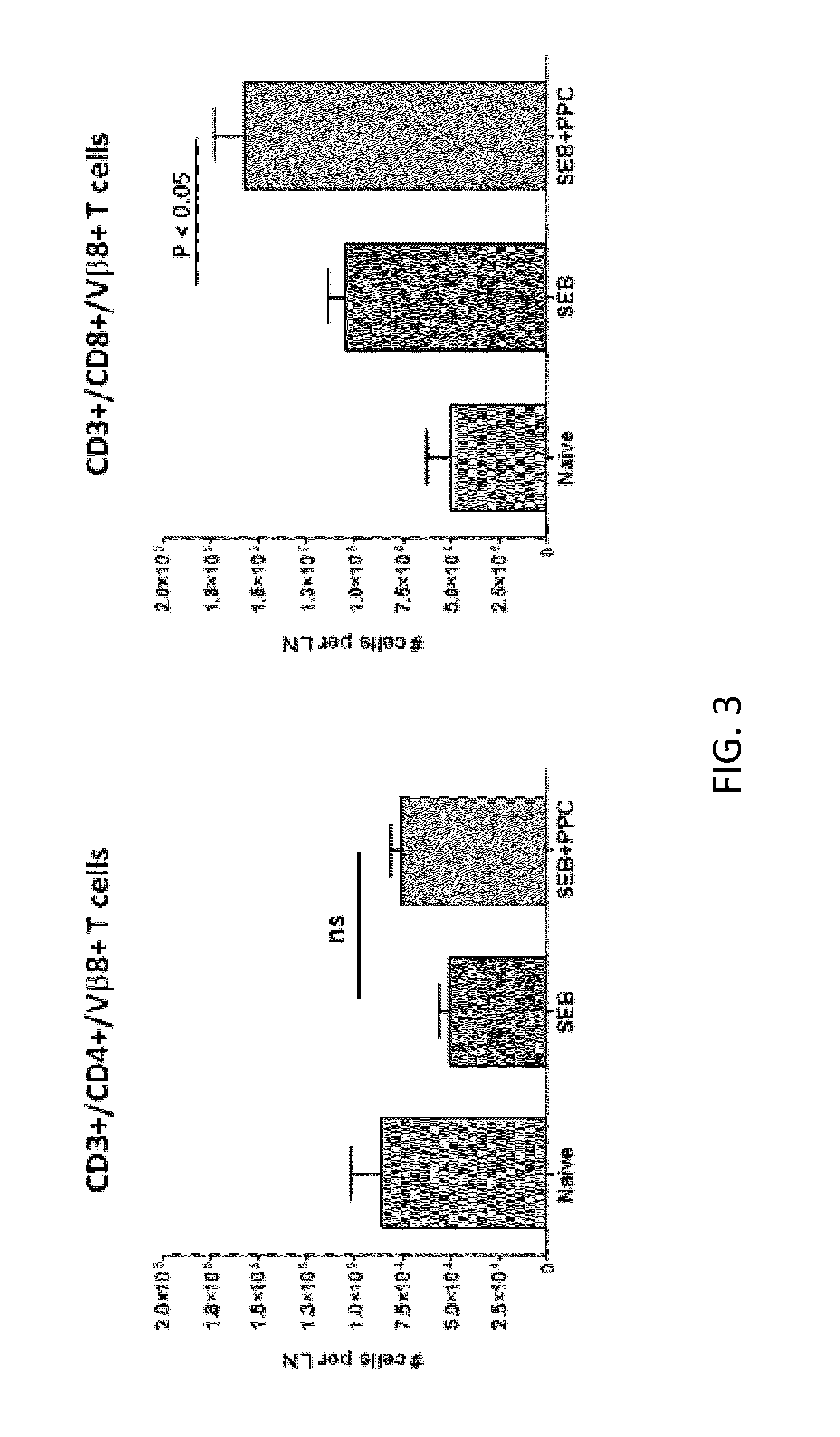 Method of enhancing the proliferative phase of a primary T cell response