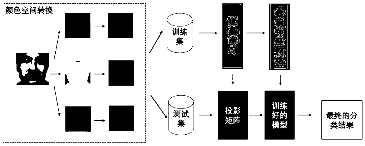 Fraud detection method based on face color space and metric analysis