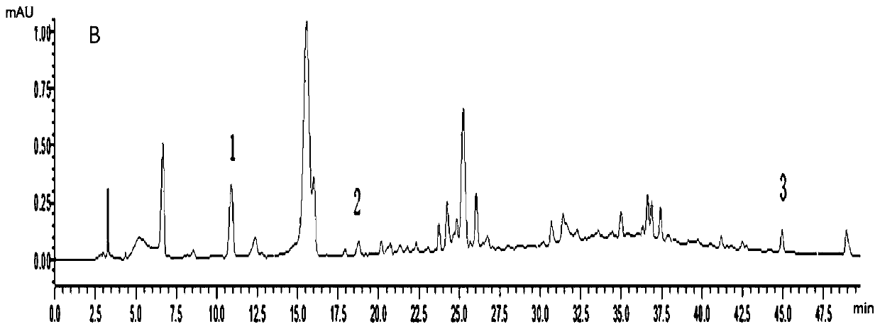 Method for evaluating quality of Ampelopsis japonic(Thunb.)Makino through quantitative analysis of multicomponents by single marker