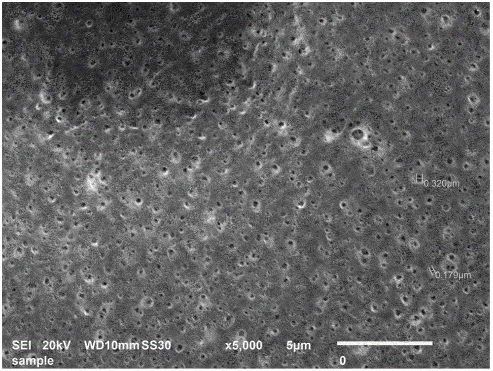 Pervaporation separation membrane and preparation method thereof