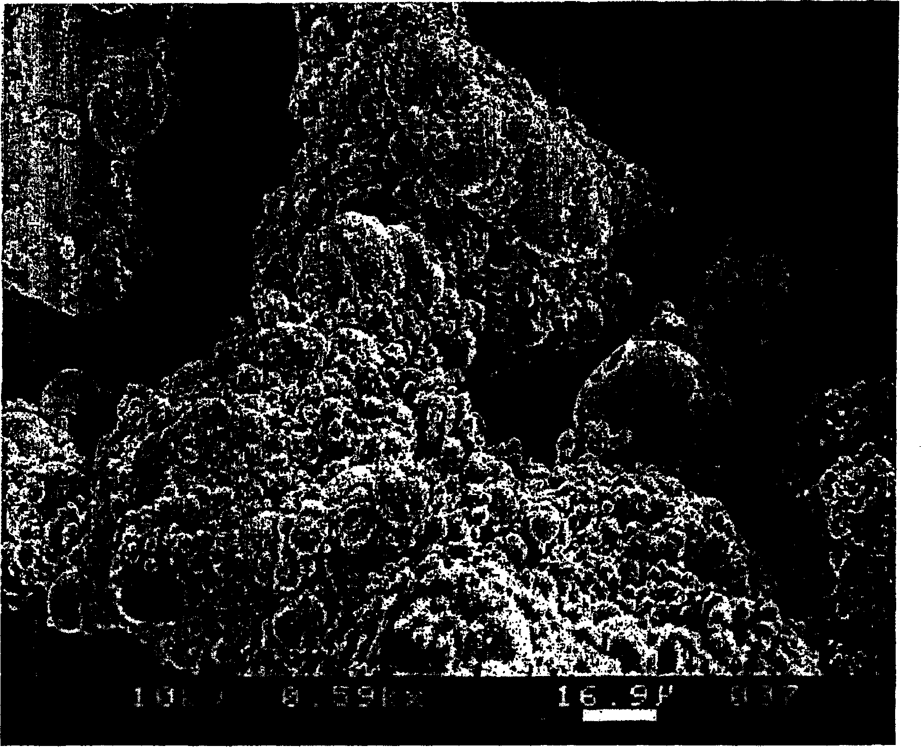 Cubic liquid crystalline compositions and methods for their preparation