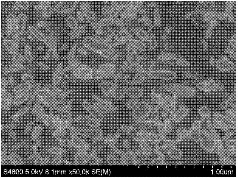 Method for preparing silicon carbide alloy negative electrode material for lithium ion battery