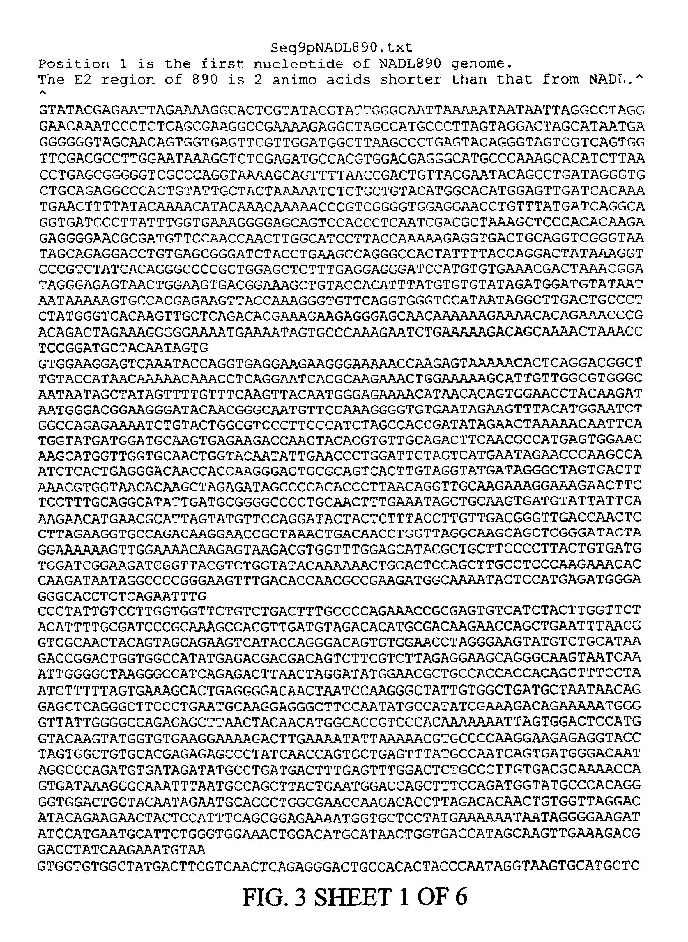 Generation of type I/type II hybrid form of bovine viral diarrhea virus for use as vaccine