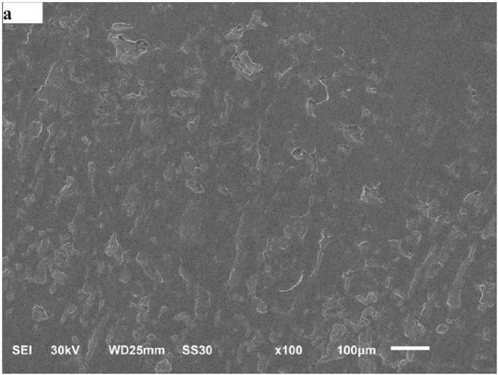 Anti-pitting self-repairing gear grease