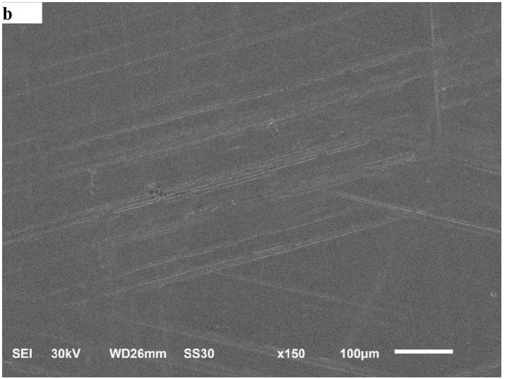 Anti-pitting self-repairing gear grease