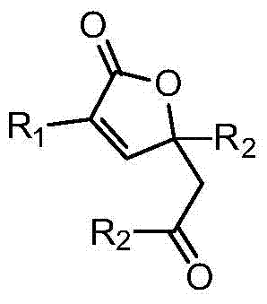 Method for preparing α,β-unsaturated butyrolactone from keto acid and alkyne