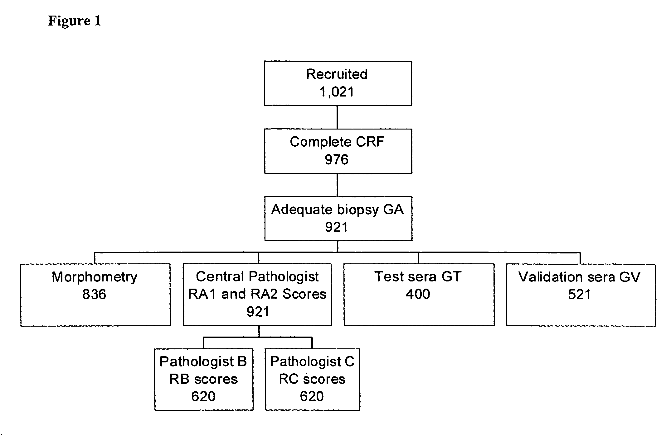 Liver disease-related methods and systems